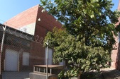 Enlarge photo 48