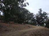 Enlarge photo 17