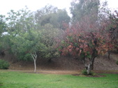 Enlarge photo 28