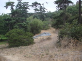 Enlarge photo 38