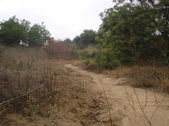 Enlarge photo 48