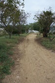 Enlarge photo 54