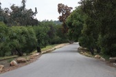 Enlarge photo 63