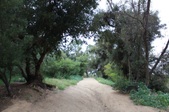 Enlarge photo 65