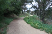 Enlarge photo 66