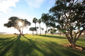 Bluff Park