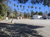 Enlarge photo 41