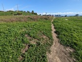 Enlarge photo 27