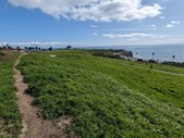 Enlarge photo 28