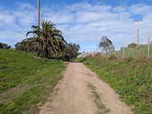 Enlarge photo 55