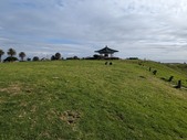 Enlarge photo 131