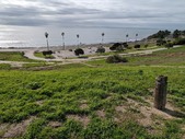 Enlarge photo 132