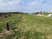 Enlarge photo 133
