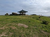 Enlarge photo 134