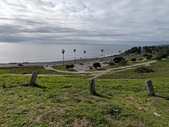 Enlarge photo 135