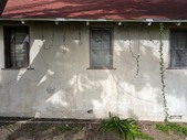 Enlarge photo 177