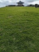 Enlarge photo 181