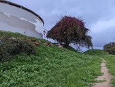 Enlarge photo 31