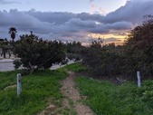 Enlarge photo 33