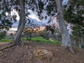 Enlarge photo 43