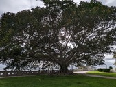Enlarge photo 29