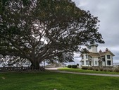 Enlarge photo 30