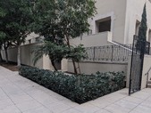 Enlarge photo 24