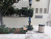 Enlarge photo 33
