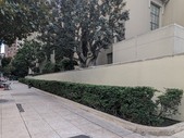 Enlarge photo 41