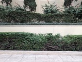 Enlarge photo 43