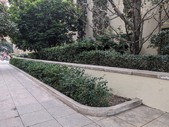 Enlarge photo 46