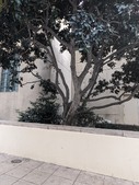 Enlarge photo 51