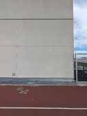 Enlarge photo 52