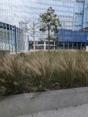 Enlarge photo 137