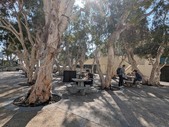 Enlarge photo 39