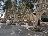 Enlarge photo 40