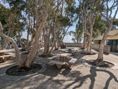 Enlarge photo 41