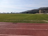 Enlarge photo 71