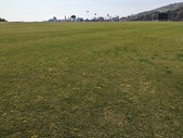 Enlarge photo 72