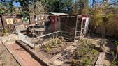 Enlarge photo 32