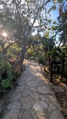 Enlarge photo 29