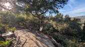Enlarge photo 32