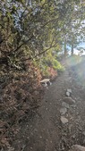 Enlarge photo 35