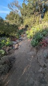 Enlarge photo 36