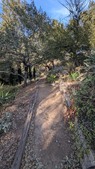 Enlarge photo 38