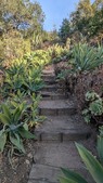 Enlarge photo 39