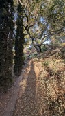 Enlarge photo 41