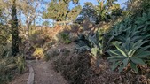 Enlarge photo 42