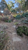 Enlarge photo 43