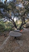Enlarge photo 44